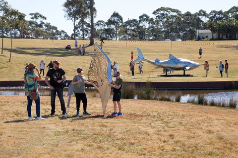 Sculpture For Clyde - Outdoor Exhibition - Northern Rivers Accommodation 2