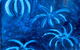 Shades Of Blue  Art Exhibition - thumb 0