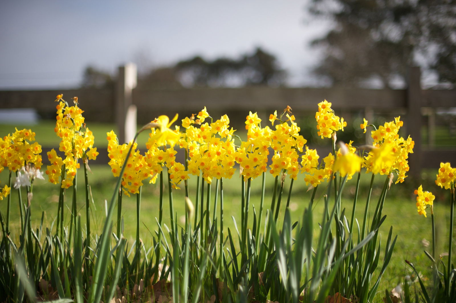 Langwarrin VIC Northern Rivers Accommodation