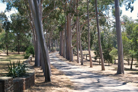 Sunday At Cruden Farm - Northern Rivers Accommodation 1
