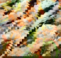 The Orient Express  Asian cooking class - Northern Rivers Accommodation