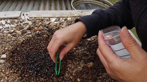 The Minerama Fossicking, Gem And Jewellery Show - Northern Rivers Accommodation 1