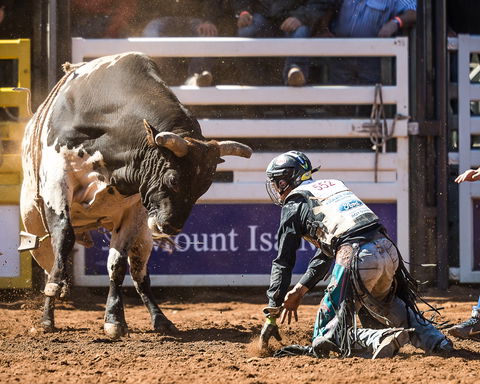 The 2020 Virtual Mount Isa Mines Rodeo - Northern Rivers Accommodation 2