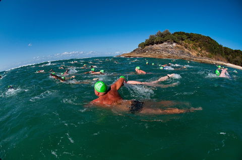The Straddie Salute Triathlon Festival - Northern Rivers Accommodation 1