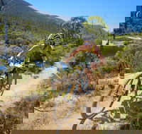 TreX Cross Triathlon Series  Snowy Mountains - Northern Rivers Accommodation