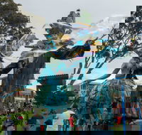 Tulip Festival Wynyard - Northern Rivers Accommodation