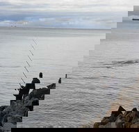 Whale Watching in Portland - Northern Rivers Accommodation