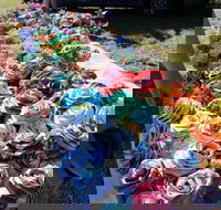 Wynyard Foreshore Market - Northern Rivers Accommodation