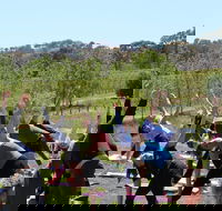 Yoga in the Vines - Northern Rivers Accommodation