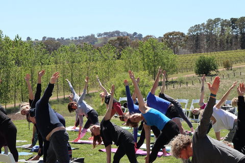 Yoga In The Vines - Northern Rivers Accommodation 0