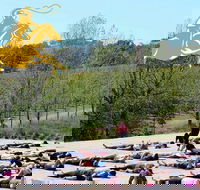 Yoga in the Vines - Northern Rivers Accommodation