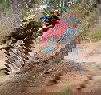 Fox Superflow sealed by Stan's Race  Greenvalleys - Northern Rivers Accommodation