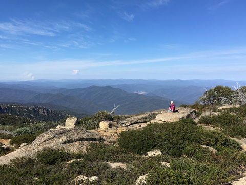 Hedonistic Hiking's Buffalo And Bubbles - Northern Rivers Accommodation 1