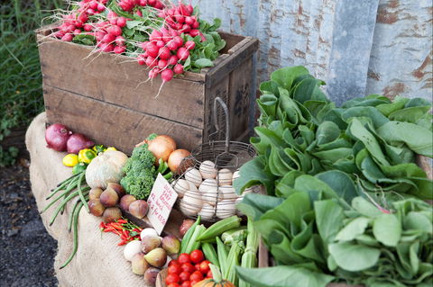 Ma Ma Creek Markets - Northern Rivers Accommodation 0