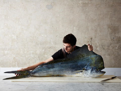 National Photographic Portrait Prize - Northern Rivers Accommodation 0