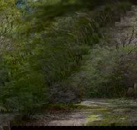 Yering Gorge Cottages - Northern Rivers Accommodation