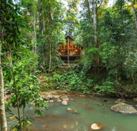 The Canopy Rainforest Treehouses and Wildlife Sanctuary - Northern Rivers Accommodation