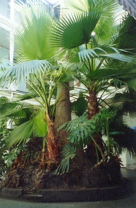 Plaza Hotel - Northern Rivers Accommodation 6