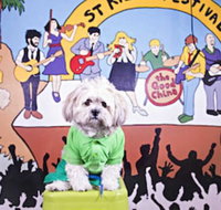 Habitat HQ - Hostel - Northern Rivers Accommodation