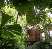 Daintree Wilderness Lodge - Northern Rivers Accommodation