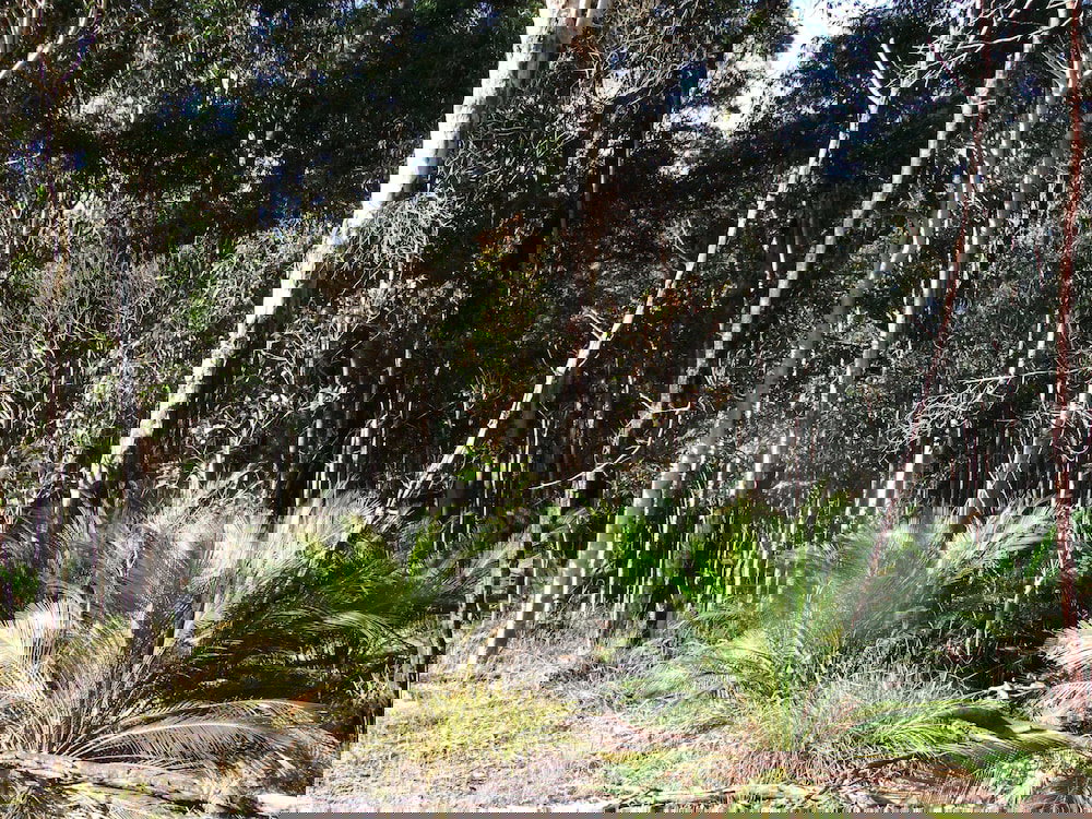 Kiora NSW Northern Rivers Accommodation