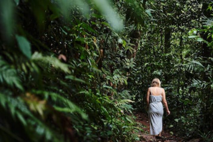 Lower Daintree QLD Northern Rivers Accommodation