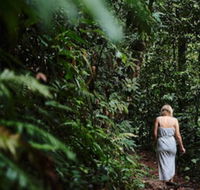 Daintree Ecolodge - Northern Rivers Accommodation