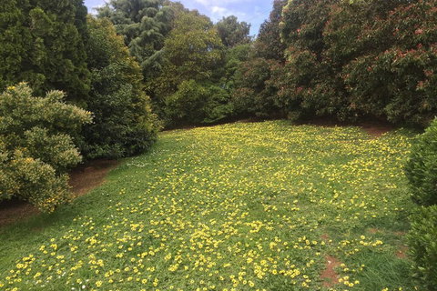 Warragul Views Motor Inn - Northern Rivers Accommodation 2