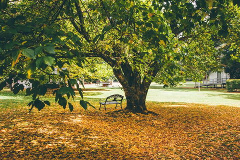 Federation Gardens & Possums Hideaway - Northern Rivers Accommodation 6