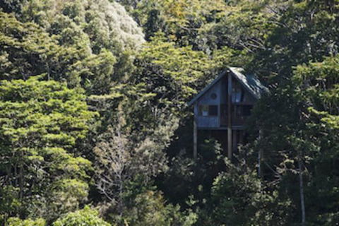 Rose Gums Wilderness Retreat - Northern Rivers Accommodation 0