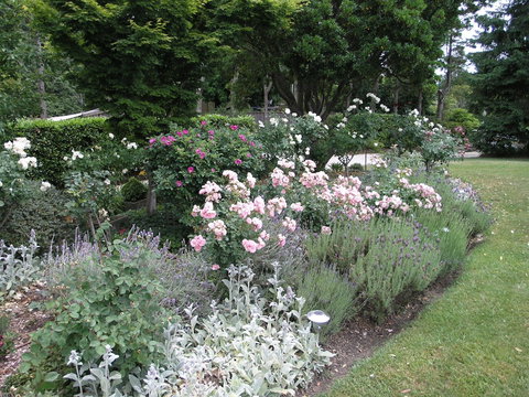 Silvermere - Northern Rivers Accommodation 4