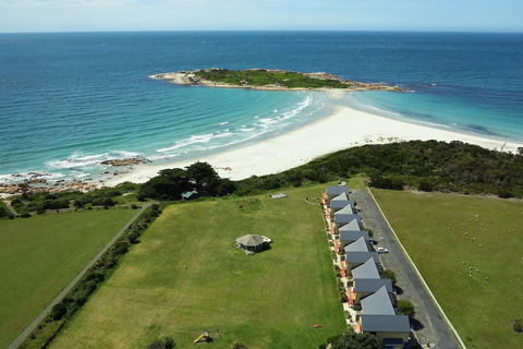 Diamond Island Resort & Bicheno Penguin Show - Northern Rivers Accommodation 0