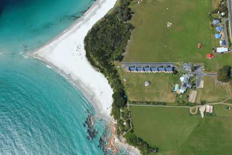 Diamond Island Resort & Bicheno Penguin Show - Northern Rivers Accommodation 4