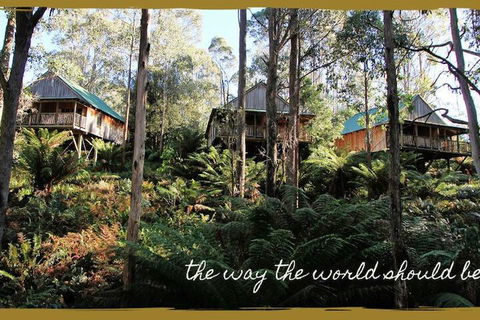 Lemonthyme Wilderness Retreat - Northern Rivers Accommodation 5
