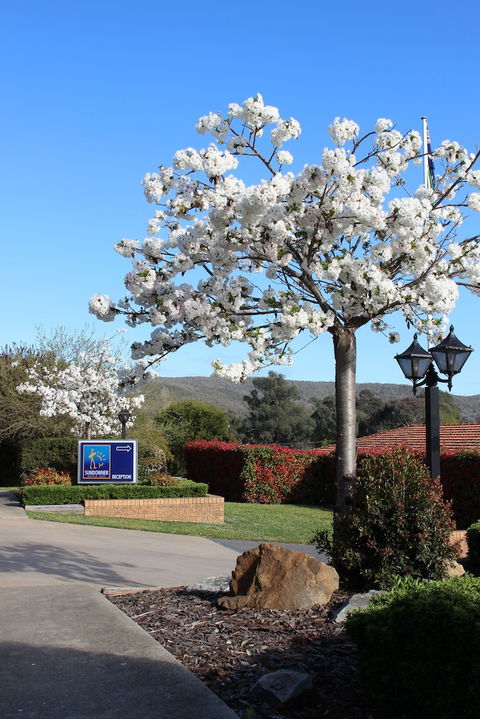 Hume Country Motor Inn - Northern Rivers Accommodation 0