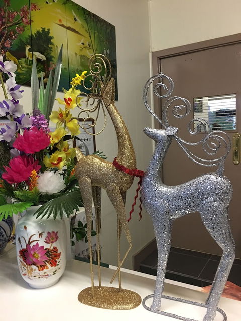 Statesman Motor InnÂ  - Northern Rivers Accommodation 5