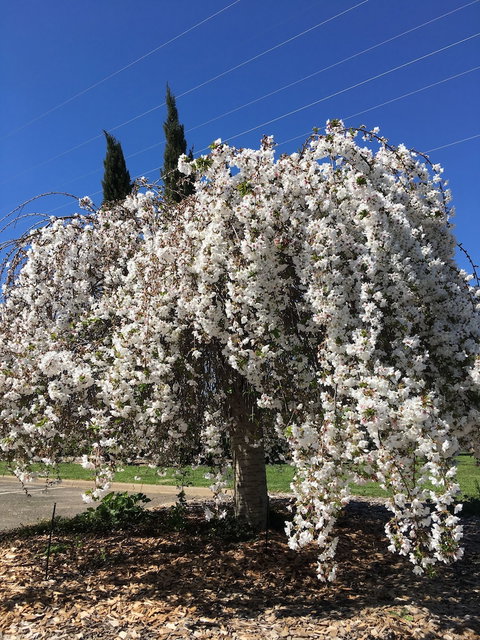 Quality Inn Carriage House - Northern Rivers Accommodation 3