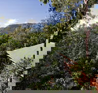 Thala Beach Nature Reserve - Northern Rivers Accommodation