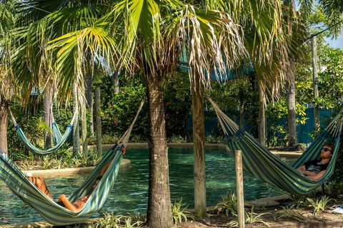 Summer House Backpackers Cairns - Northern Rivers Accommodation 2