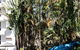 Greenmount Beach House - thumb 5