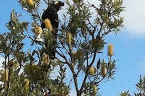 Lake Illawarra B&B - Northern Rivers Accommodation 1