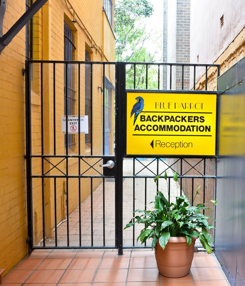 Blue Parrot Backpackers - Northern Rivers Accommodation 2