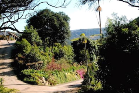 Top Of The Hill - Northern Rivers Accommodation 3