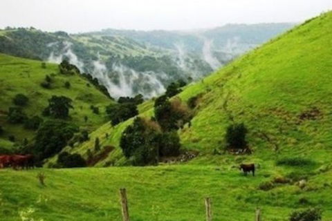 Top Of The Hill - Northern Rivers Accommodation 1