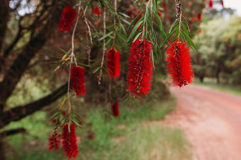 Margaret River Holiday Cottages - Northern Rivers Accommodation 2