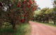 Margaret River Holiday Cottages - thumb 1