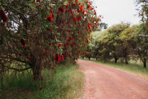 Margaret River Holiday Cottages - Northern Rivers Accommodation 1