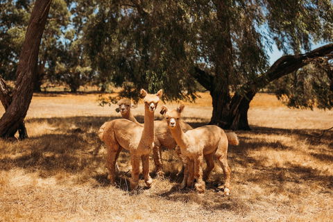 Margaret River Holiday Cottages - Northern Rivers Accommodation 5