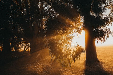 Margaret River Holiday Cottages - Northern Rivers Accommodation 0