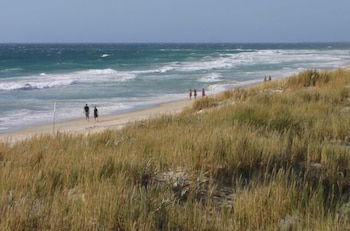 Scarborough & Absolutely Beachfront - Northern Rivers Accommodation 0
